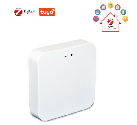 Tuya WiFi ZigBee Hub EjLink