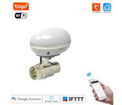 WiFi inteligentný guľový ventil s elektropohonom s regulaciou prietoku vody, pre zavlažovánie Tuya Smart Life