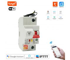Tuya Smart Life WiFi inteligentný Istič 1P 20A